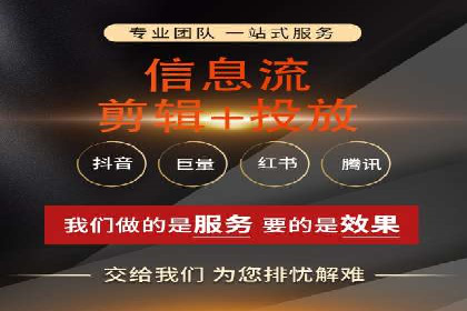 成功SEM竞价托管案例分析报告